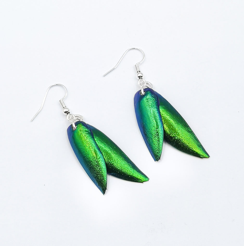 A pair of handmade earrings designed with Elytra Wings of gorgeous Beetles, set on Sterling Silver hooks