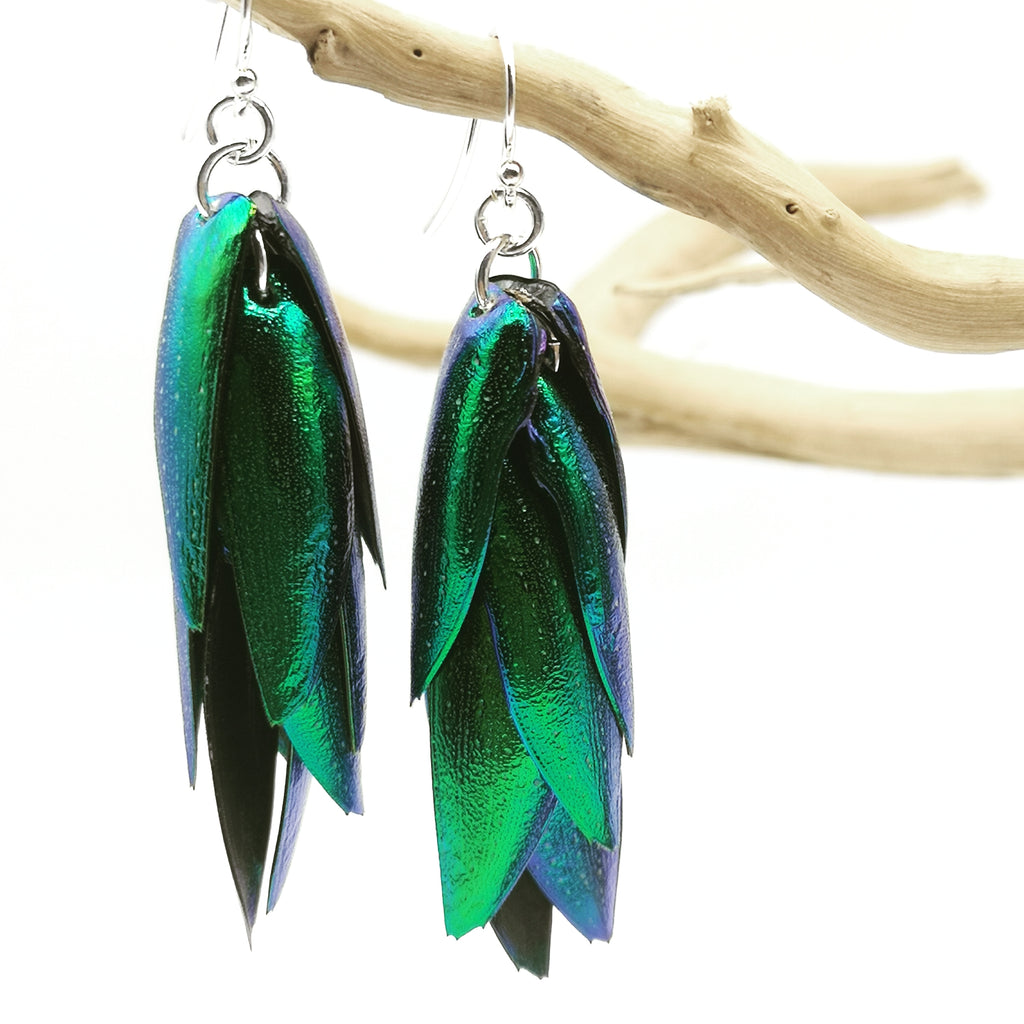 A pair of gorgeous Elytra Beetle Wings dangling earrings on Sterling Silver hooks